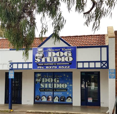 about town dog studio|About Town Dog Studio, 491 Portrush Road, Adelaide (2024)